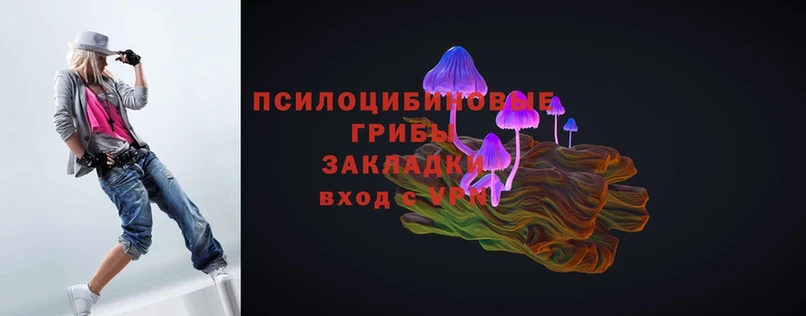 Галлюциногенные грибы MAGIC MUSHROOMS  дарнет шоп  Игра 